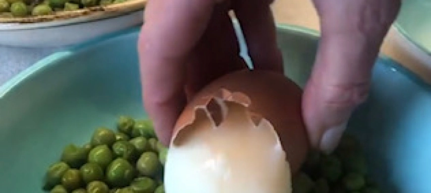 OUS A BAIXA TEMPERATURA