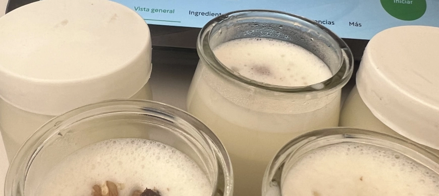 Cuajada con miel y nueces sin lactosa