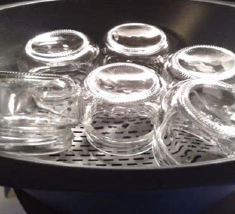 SAPS DONAR ALTRES USOS AL TEU THERMOMIX ??? ESTERILITZADOR PER VAPOR